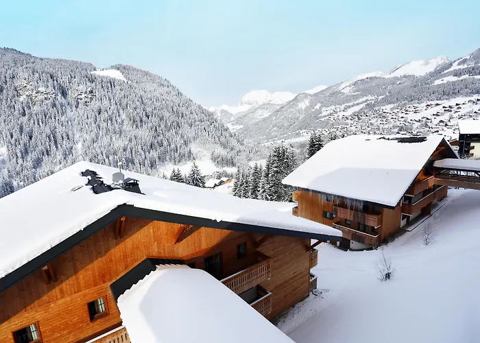 Résidence Néméa Le Grand 3* Châtel